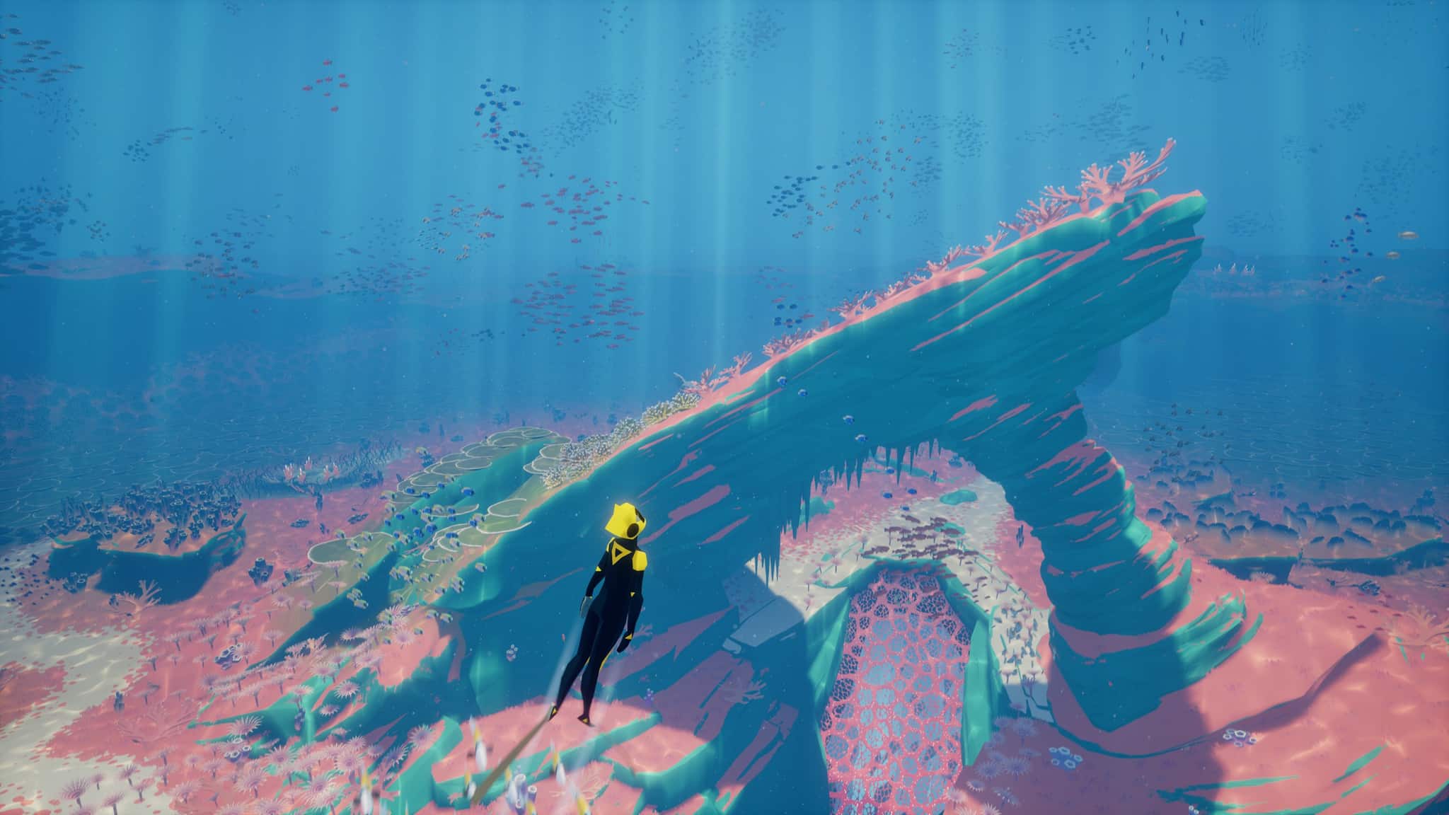 <b>Abzu</b> Fish.